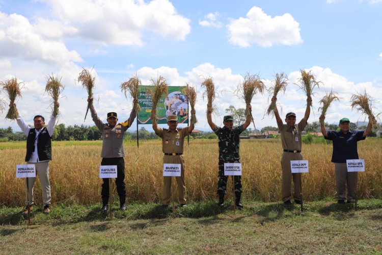 Purworejo Ikuti Panen Raya Padi Serentak 14 Provinsi bersama Presiden  