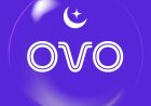 Apakah Ovo punya WhatsApp?